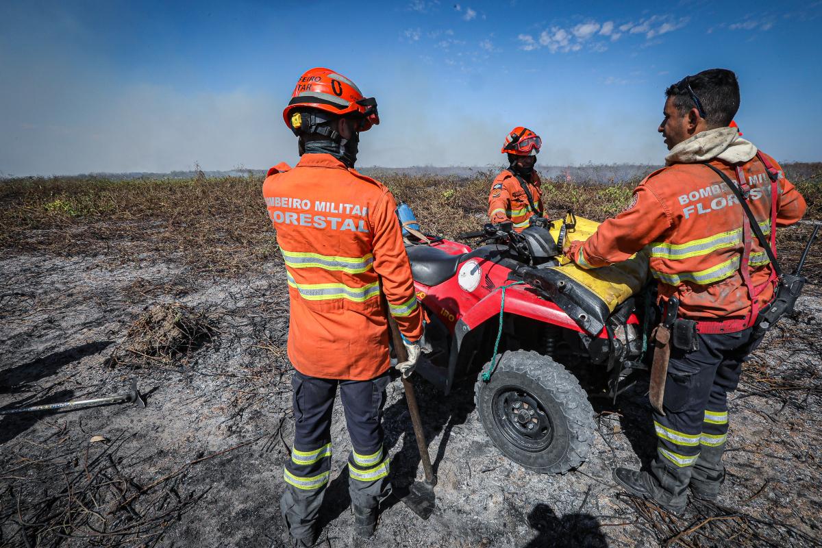 Bombeiros combatem 42 incêndios florestais em Chapada dos Guimarães, Pantanal e outras regiões de Mato Grosso | FTN Brasil