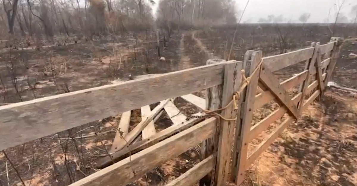 Incêndio descontrolado mata animais e destruindo propriedades rurais em Cáceres