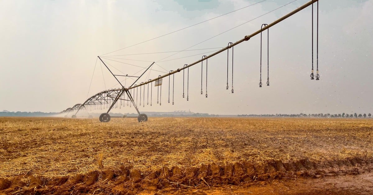 Irrigação é tida como estratégia para garantir a produtividade em períodos de seca