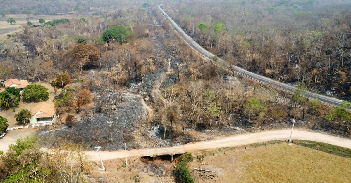 Pecuaristas cobram bom senso nas punições dos incêndios acidentais