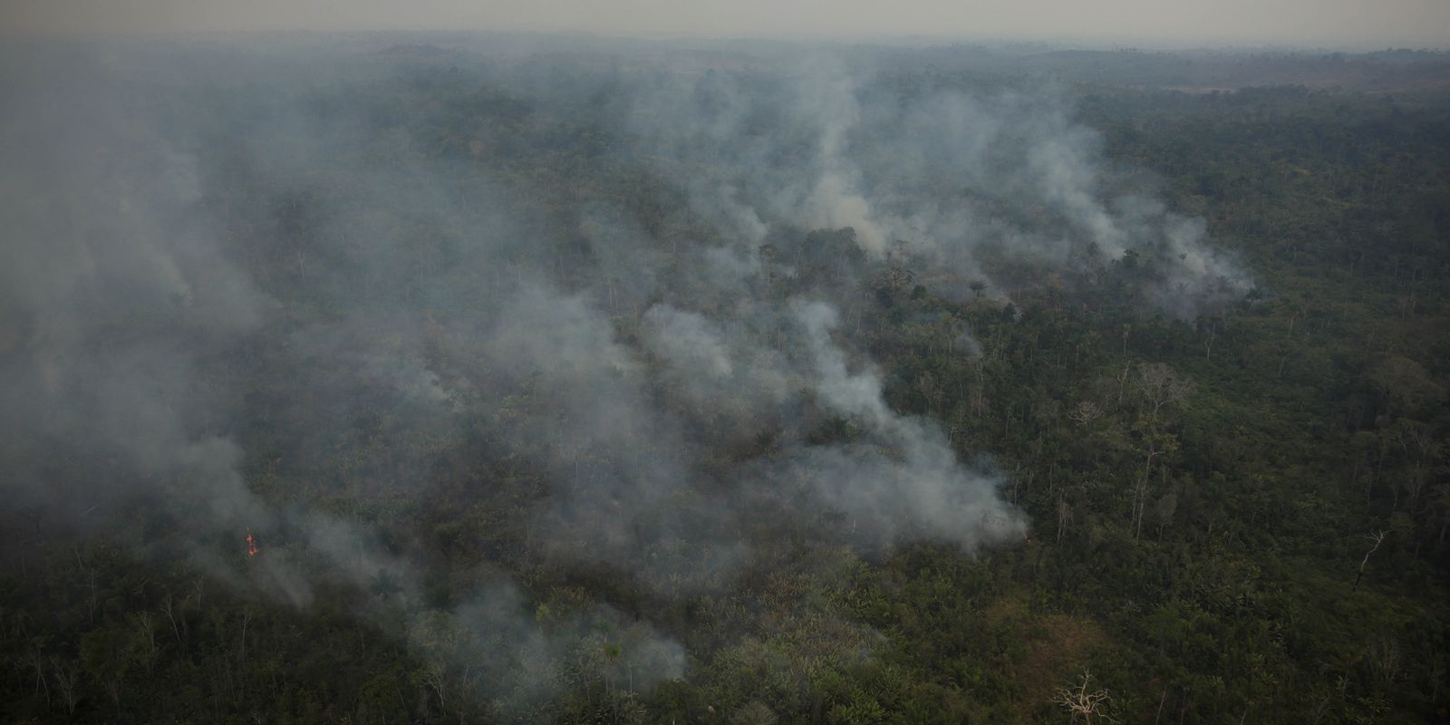 AGU cobra R$ 89 milhões de acusados de causar queimadas na Amazônia