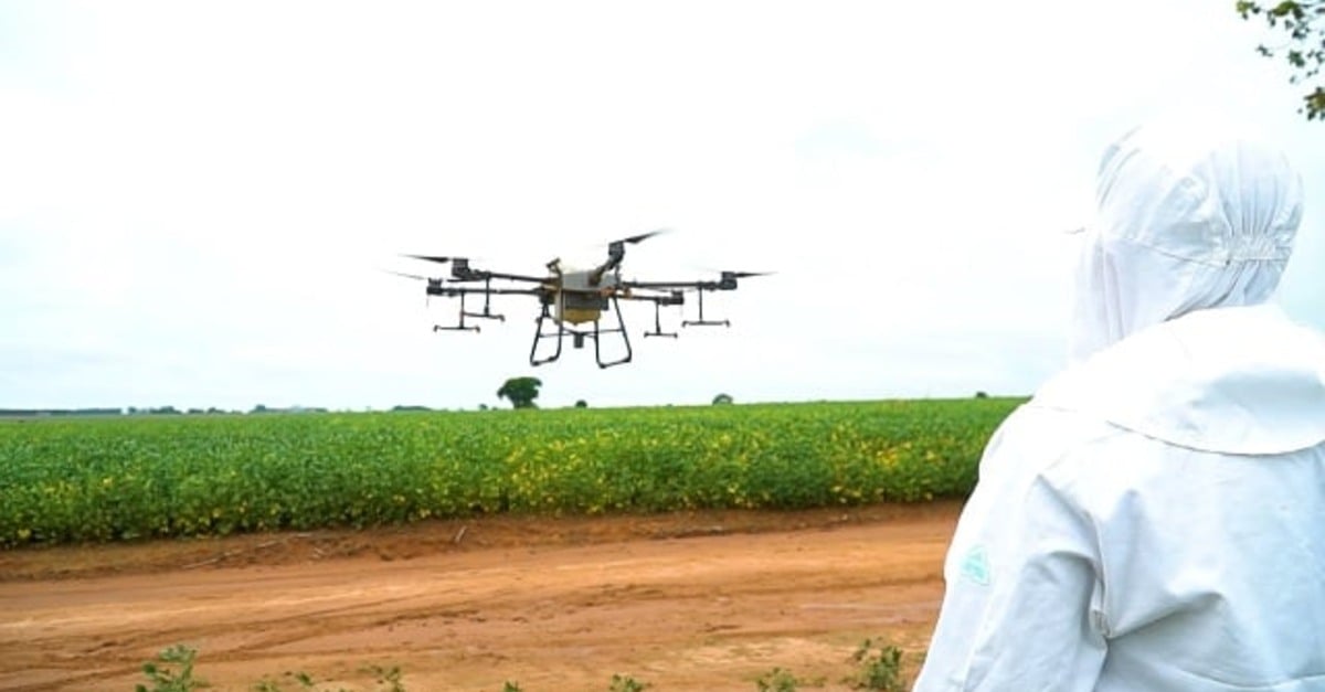 Agricultura digital e pesquisas auxiliam Brasil avançar na produção de alimentos