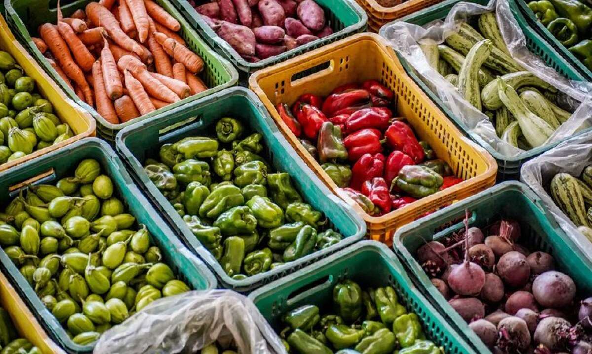 Alimentos adquiridos via PAA vão atender 4,7 mil pessoas em insegurança nutricional no Mato Grosso | FTN Brasil