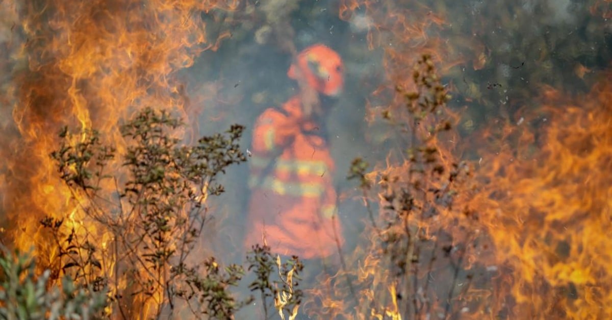 Áreas improdutivas e irregulares registram 10,6 focos de incêndio para cada 100 km² em MT