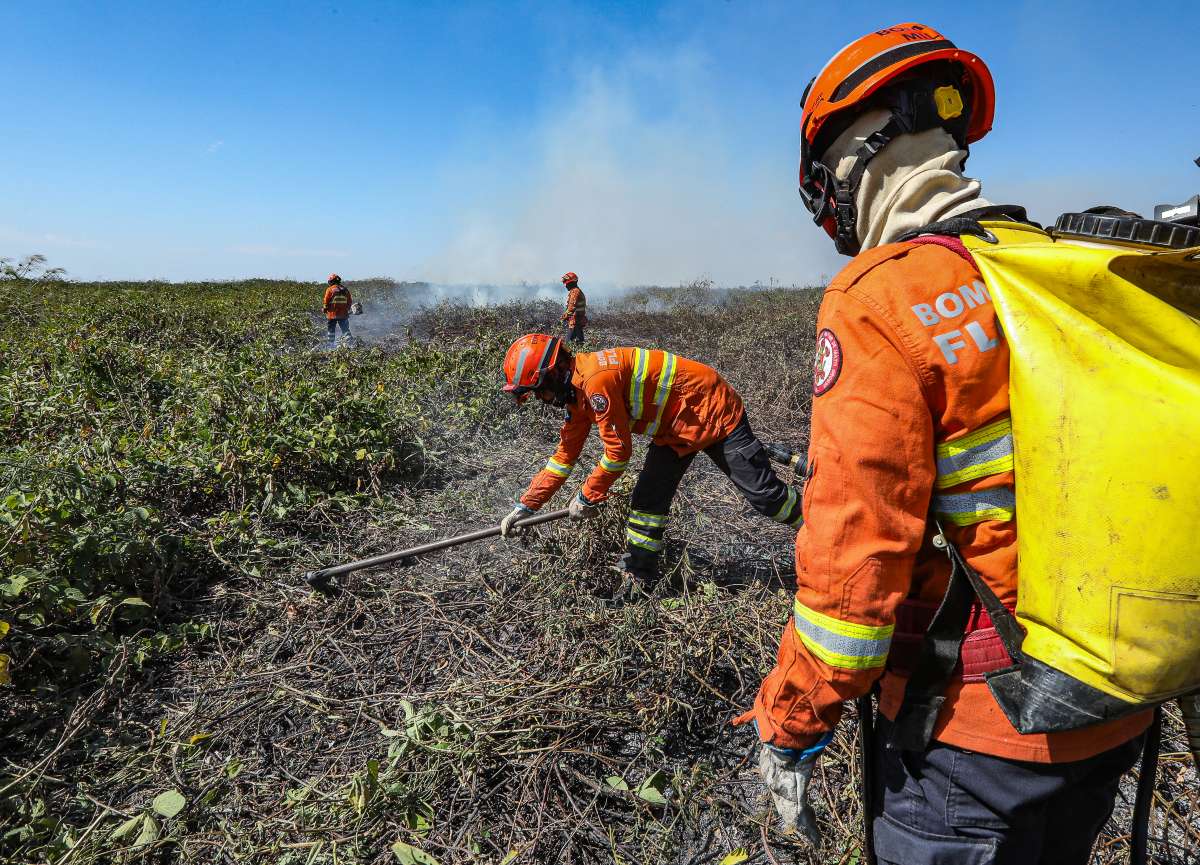 Bombeiros Militares de MT combateram 24 incêndios florestais em municípios do Estado na segunda-feira | FTN Brasil