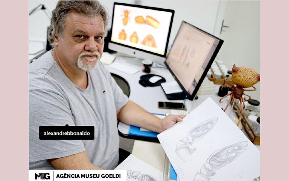 Cientista do Museu Goeldi é um dos 10 com mais descobertas de aranhas no mundo | FTN Brasil