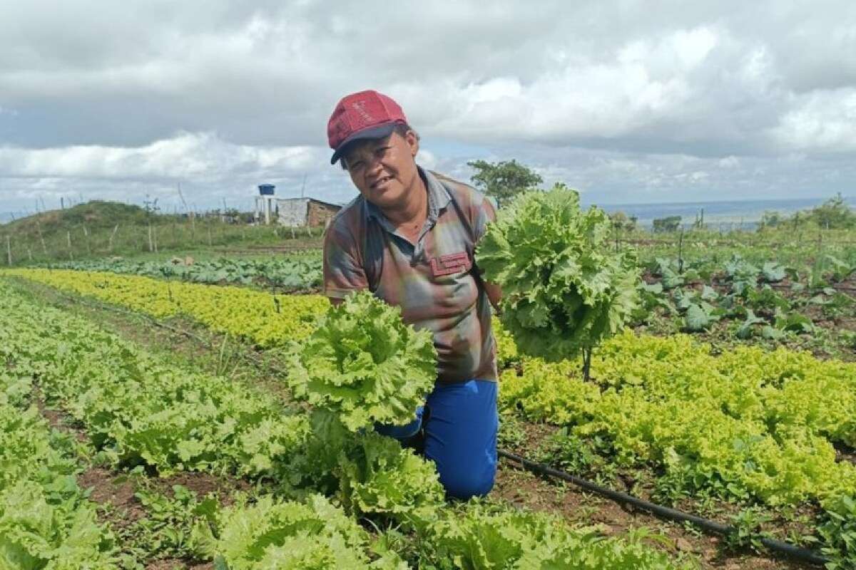 Com investimento de R$ 60 milhões, nova fase do Programa Bolsa Verde alcança 15 mil famílias | FTN Brasil