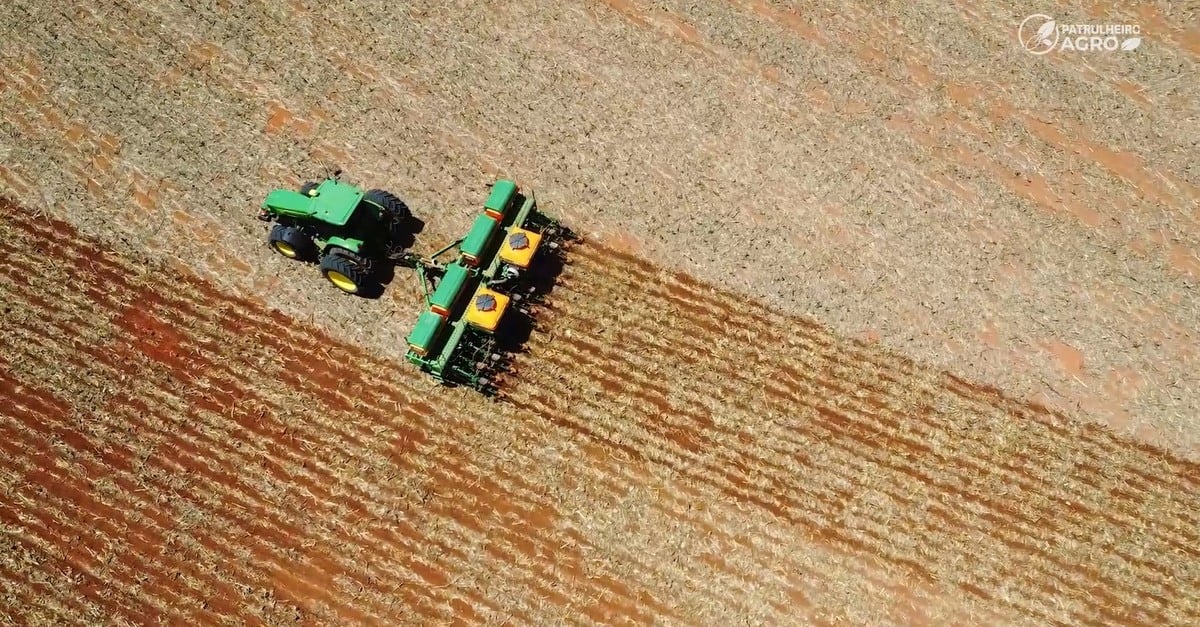 Plantio da soja beira 80% em MT e diminui atraso