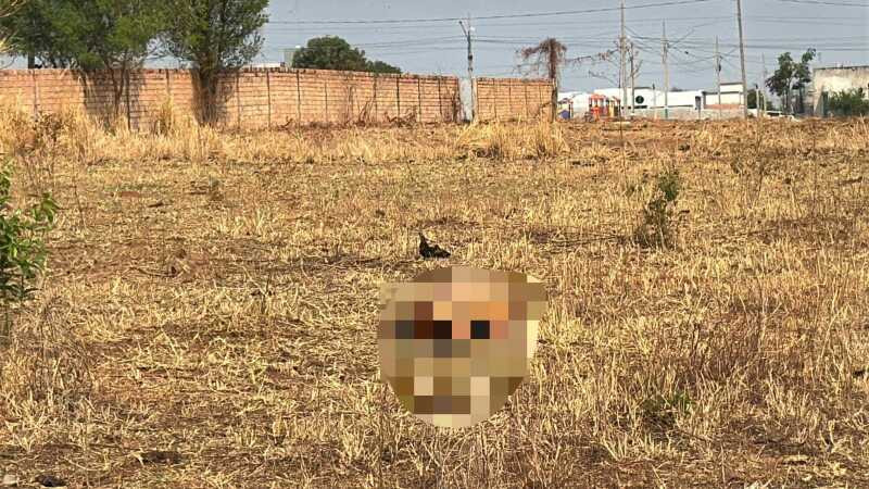 Corpo de homem com sinais de luta e marca de tiro no rosto é encontrado em pasto | ReporterMT