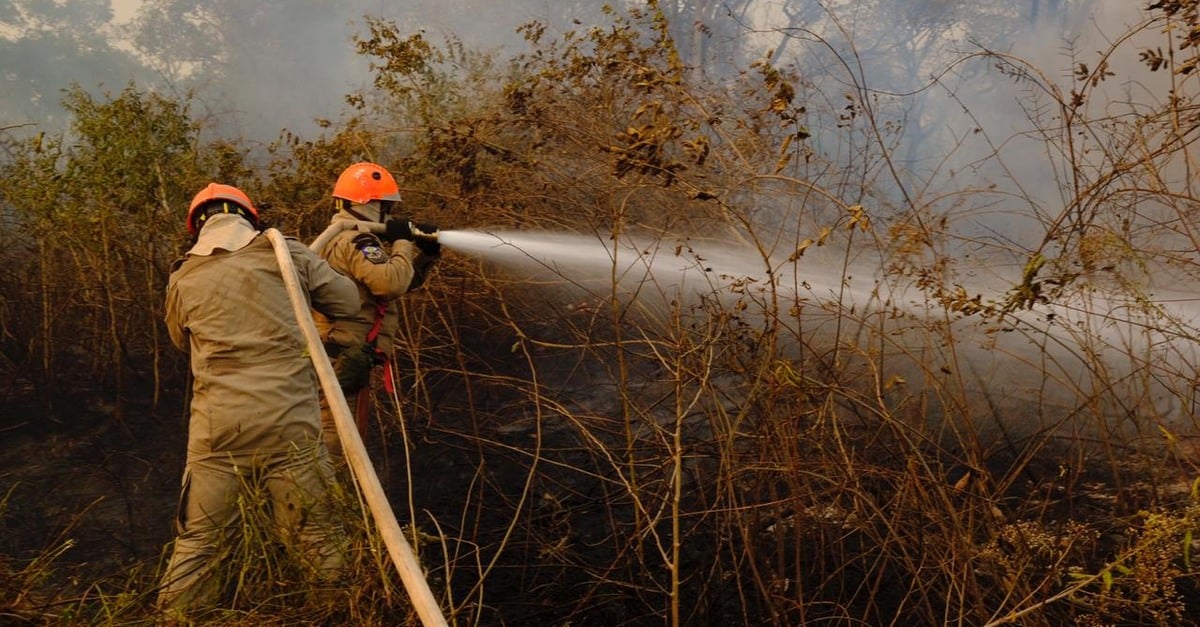 Diagnóstico do Corpo de Bombeiro classifica territórios atingidos por incêndios em Mato Grosso 