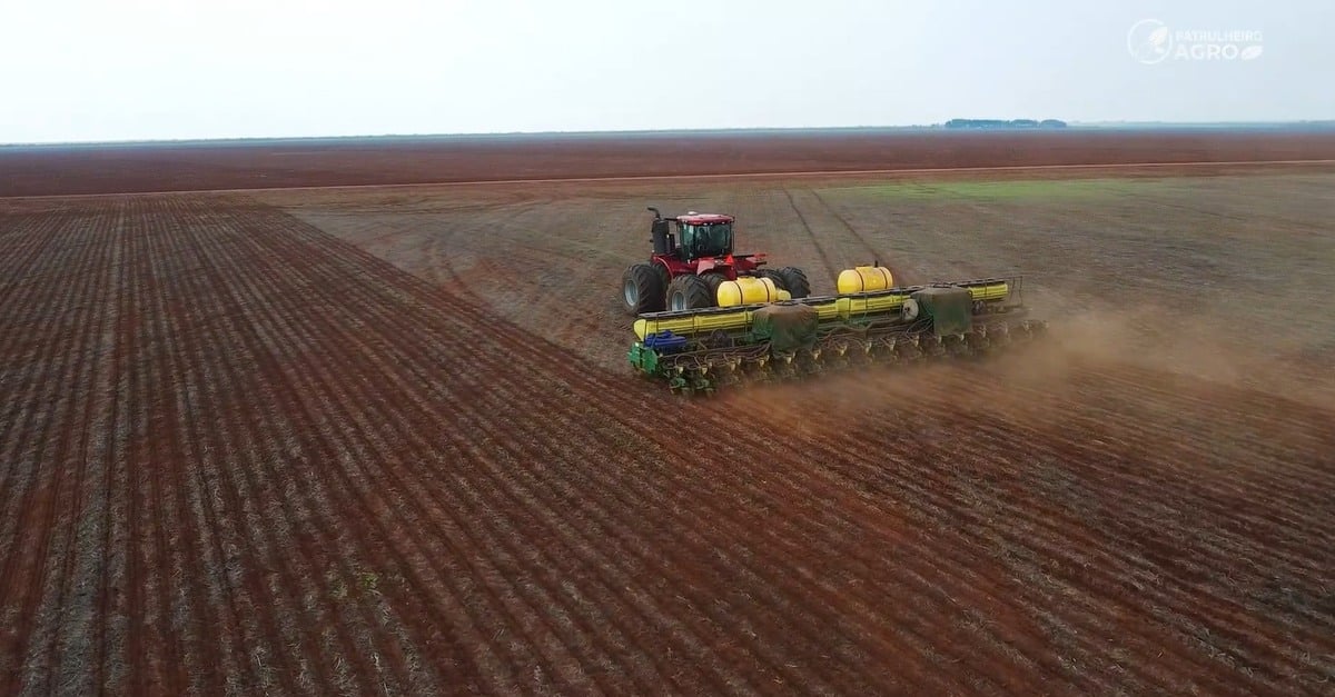 Escassez hídrica atrasa plantio e ameaça produtividade da soja no oeste de MT