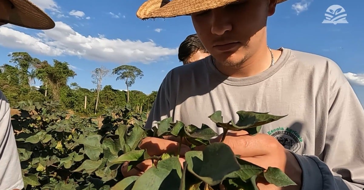 Escola Agrícola Ranchão, a escola que nasceu no campo para formar técnicos e mudar vidas