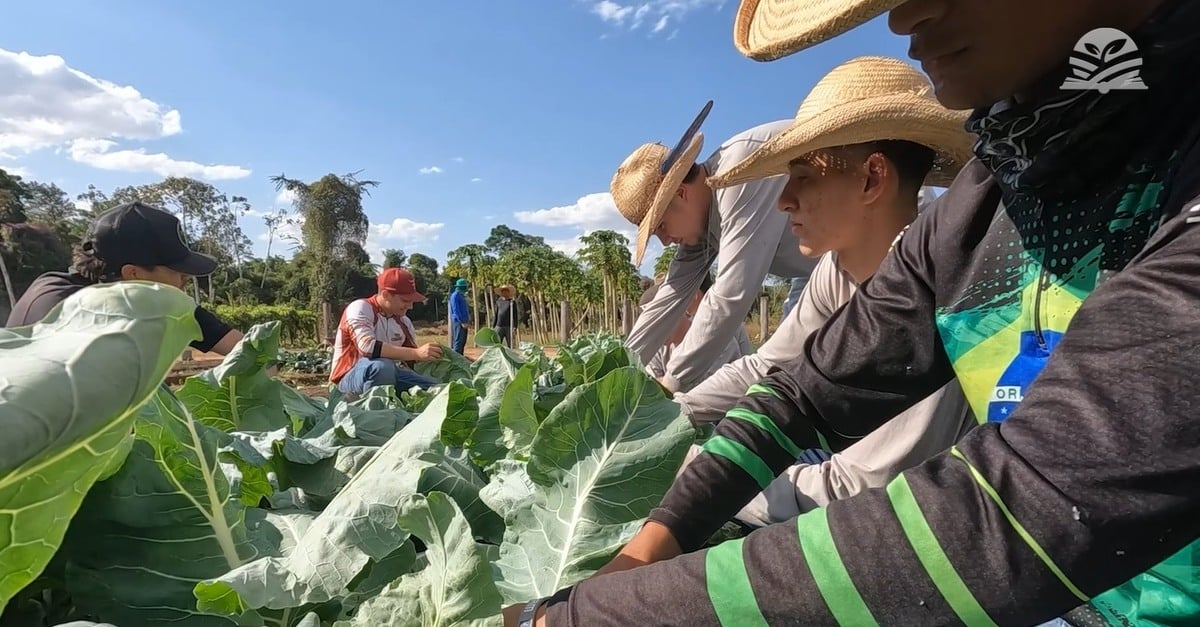 Escola Agrícola Ranchão está com vagas abertas para 2025