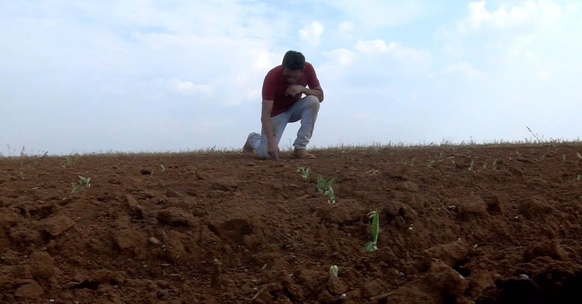 Indígenas podem deixar de plantar 13 mil hectares de soja em MT