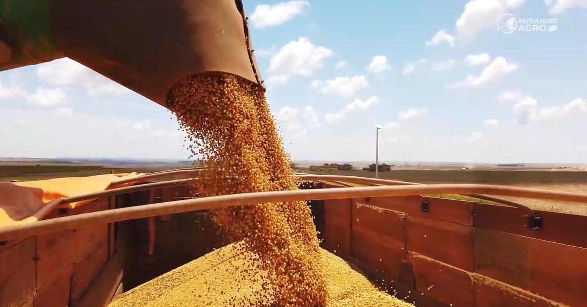 MT: Projeto aprova corte de incentivos fiscais de empresas signatárias da moratória da soja e carne