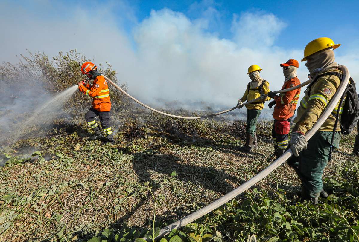 Mais de 120 agentes e nove aeronaves combatem incêndio no Parque Encontro das Águas em Poconé | FTN Brasil