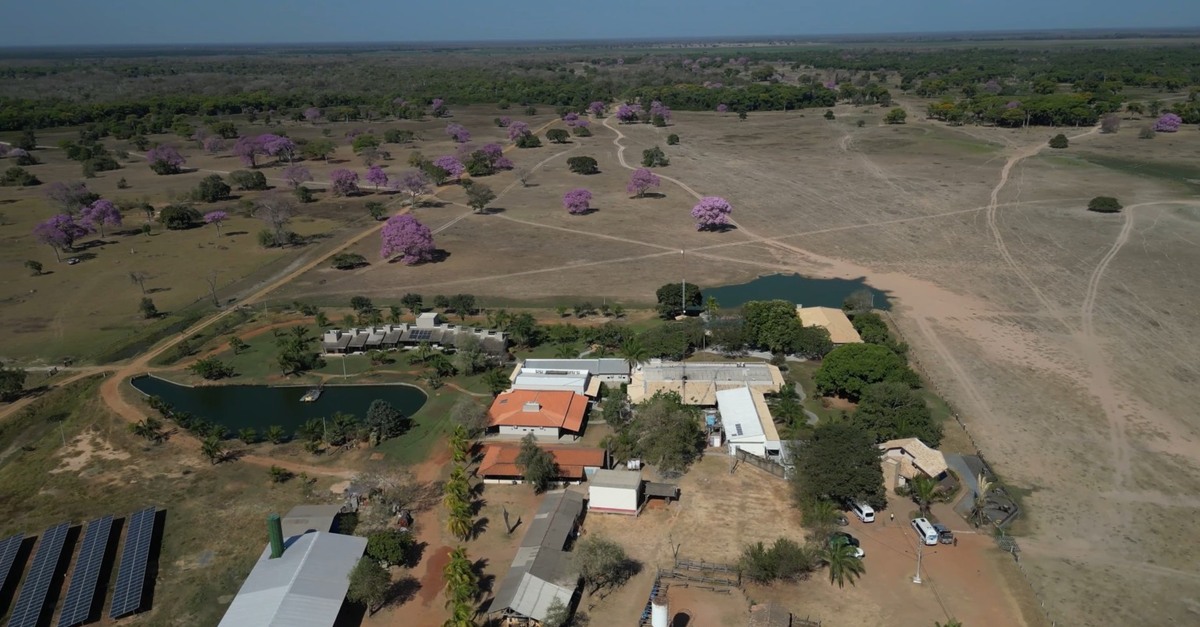 Pecuária e turismo: a dupla aptidão de uma fazenda pantaneira 