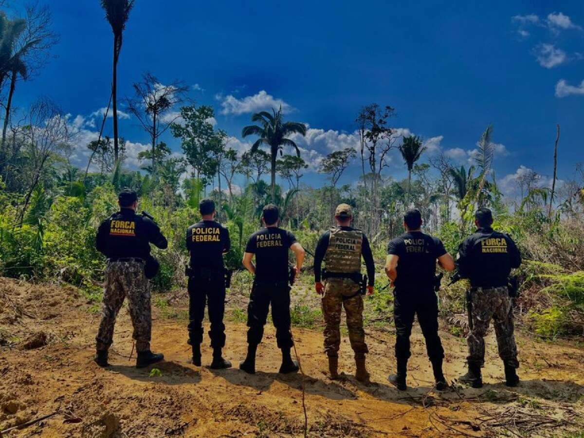 Polícia Federal e Força Nacional combatem desmatamento e queimadas no interior do Amazonas | FTN Brasil