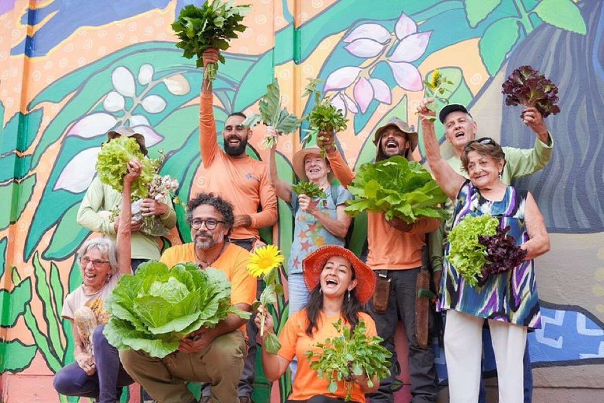 Promoção da segurança alimentar e nutricional é fundamental para tirar o Brasil do Mapa da Fome | FTN Brasil