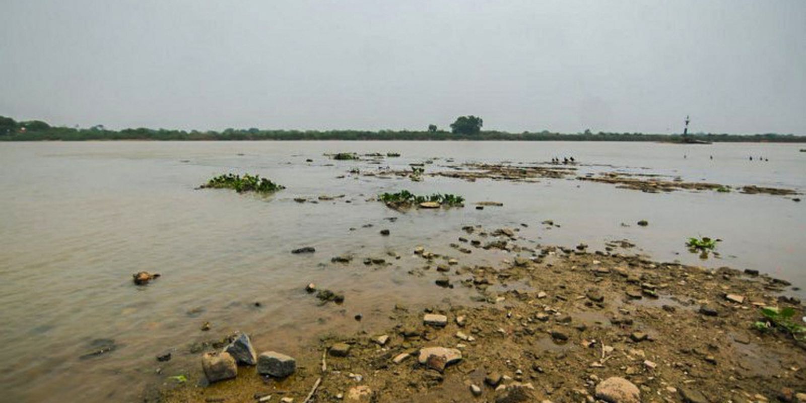 Rio Paraguai registra mínima histórica em ano mais seco no Pantanal