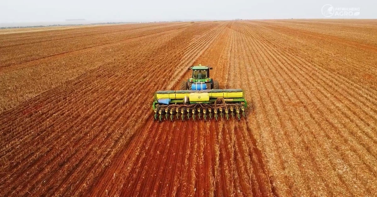 Setor produtivo defende modernização do seguro rural