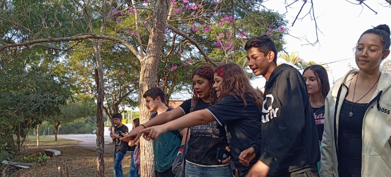 5 projetos para trabalhar democracia na sala de aula