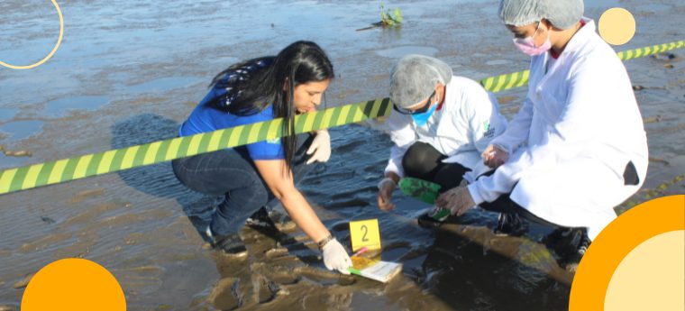 Alunas do Amapá aliam química e ciência forense em pesquisa sobre feminicídio