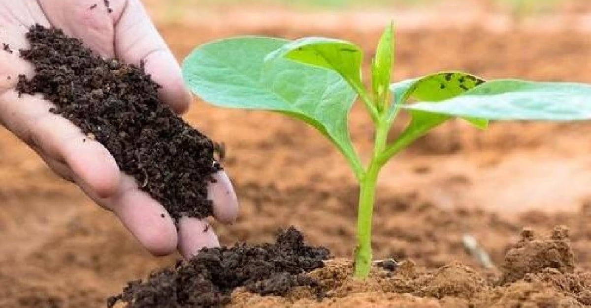 Bioinsumos On Farm podem ter novo capítulo na Câmara