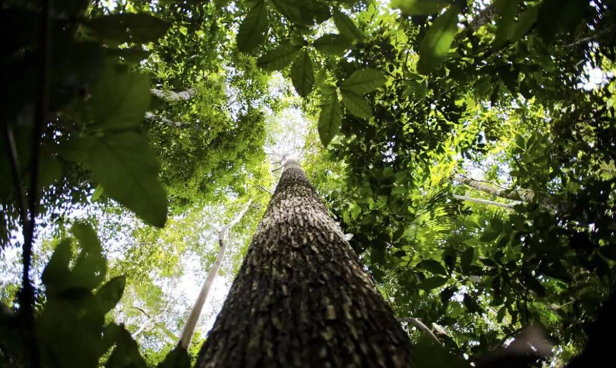 COP29 fecha acordo climático e chefe da ONU critica resultado | FTN Brasil