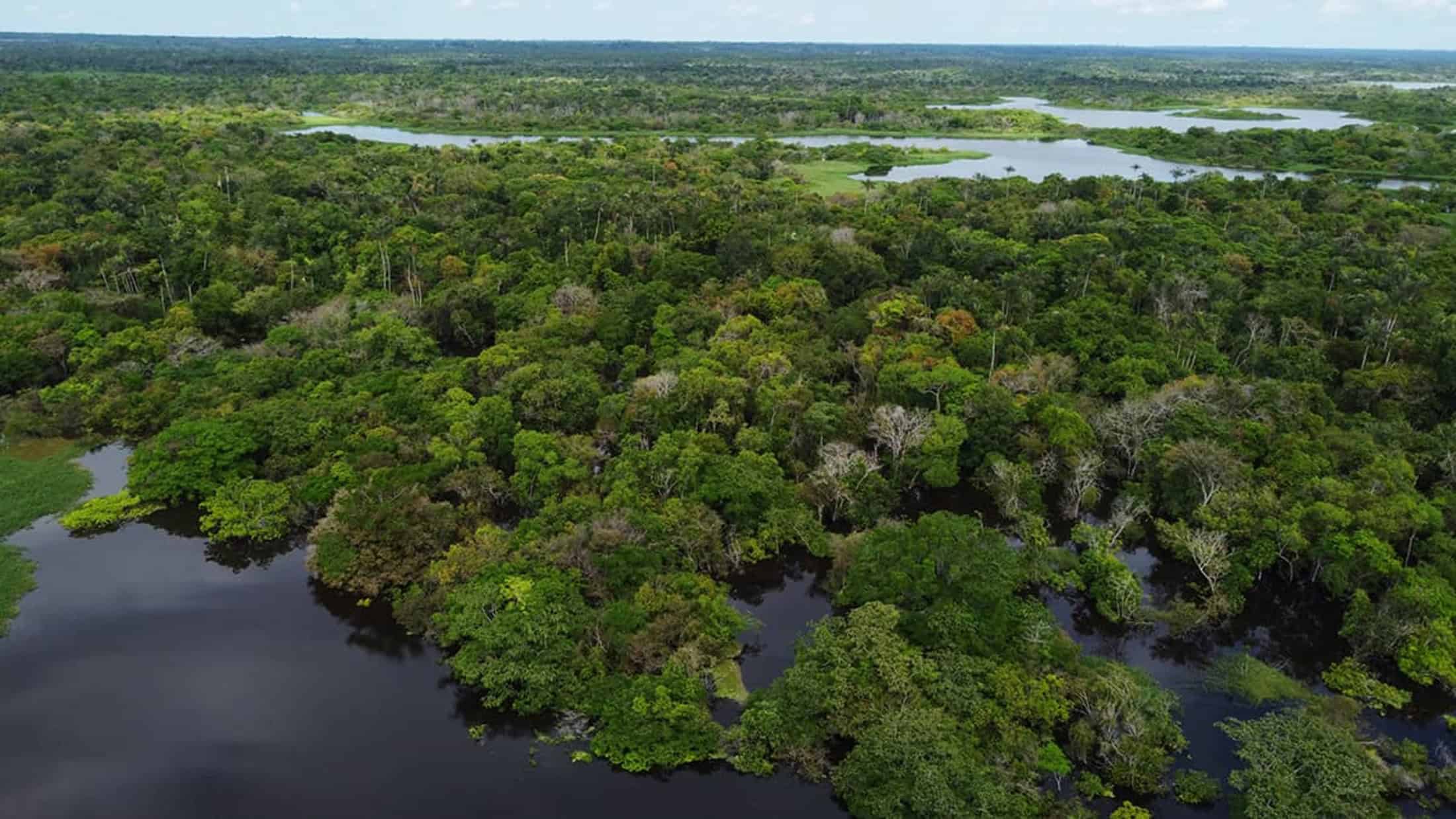 Colapso da corrente do Atlântico representaria o fim da Amazônia