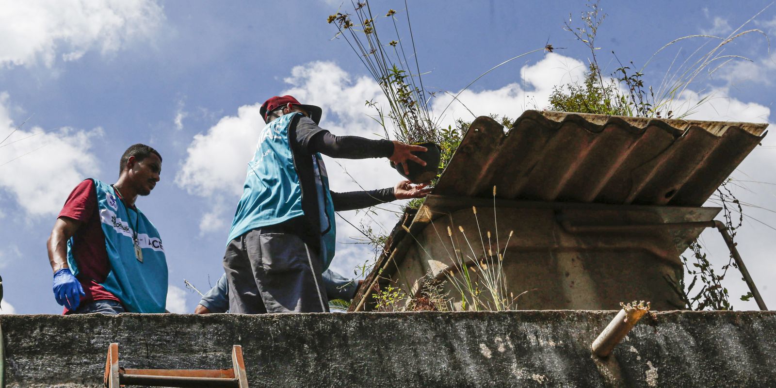 DF promove dia de combate à dengue para eliminar focos do Aedes aegypt