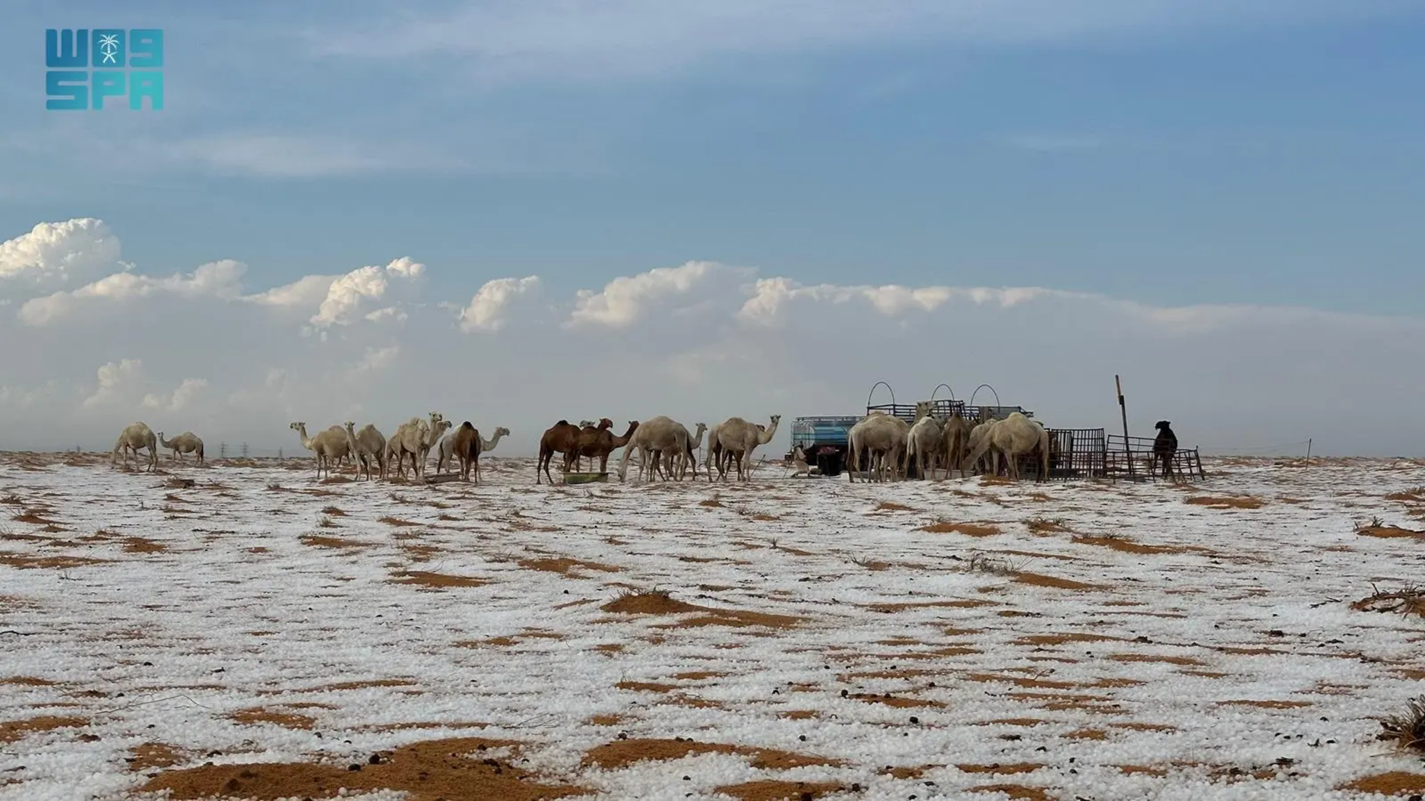 Deserto fica coberto de gelo na Arábia Saudita