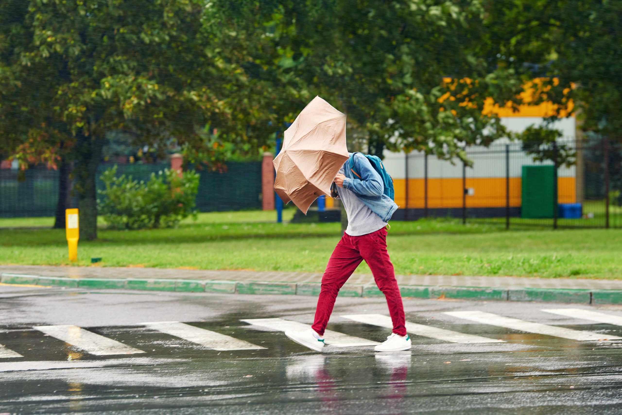 Domingo de alerta: INMET prevê chuvas e ventos de até 60 km/h