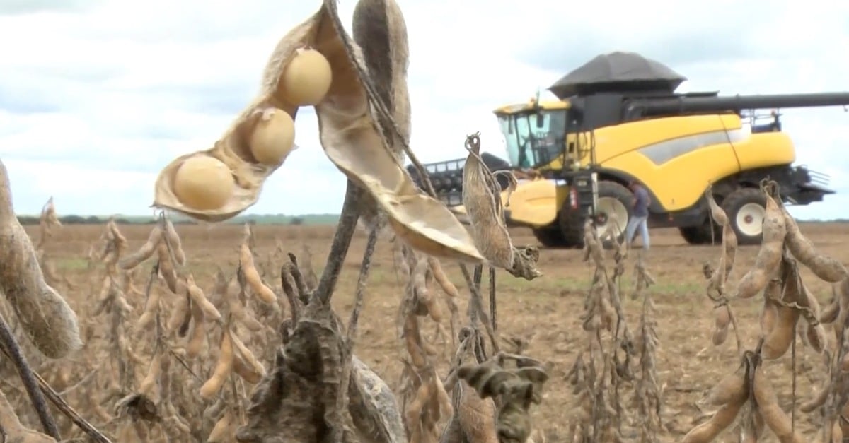 Esmagamento de soja cresce 6,18% em Mato Grosso