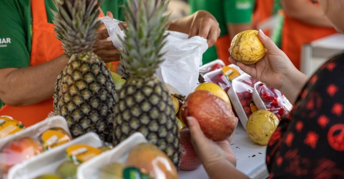 Feira Natural do Campo chega a Nossa Senhora do Livramento