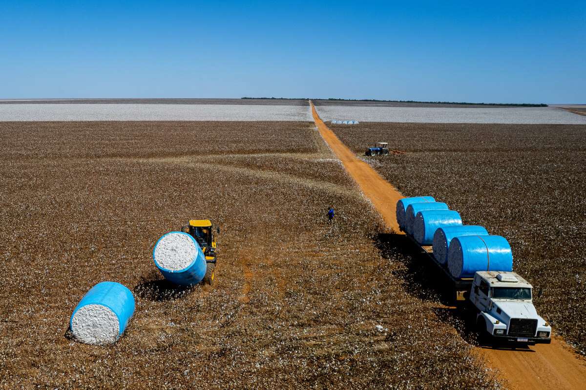 PIB de Mato Grosso registra a maior variação percentual do país e cresce mais de 1.230% em 20 anos | FTN Brasil