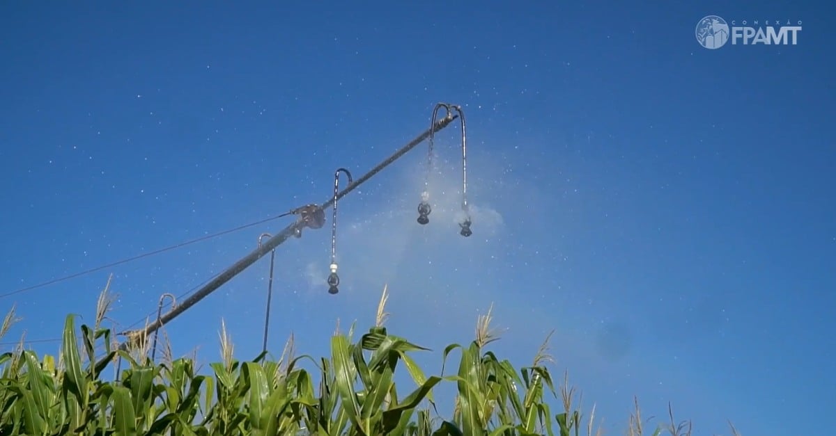 Programa Estadual de Irrigação garante segurança jurídica aos produtores 