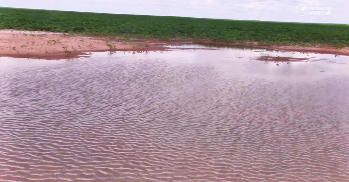 Agricultores em Mato Grosso temem perdas na soja por excesso de chuvas