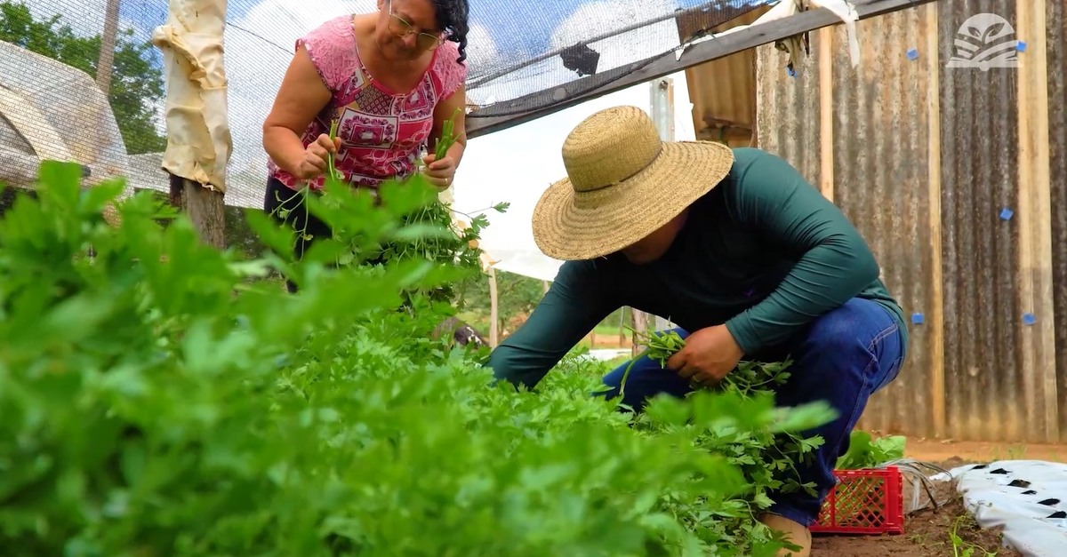 Apoio técnico garante salto produtivo e o retorno de um filho para o campo