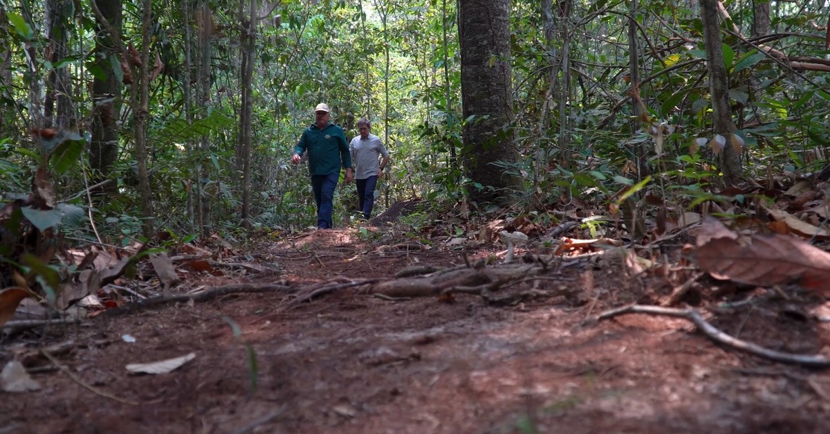 Área que ia ser usada na pecuária é transformada em reserva ecológica