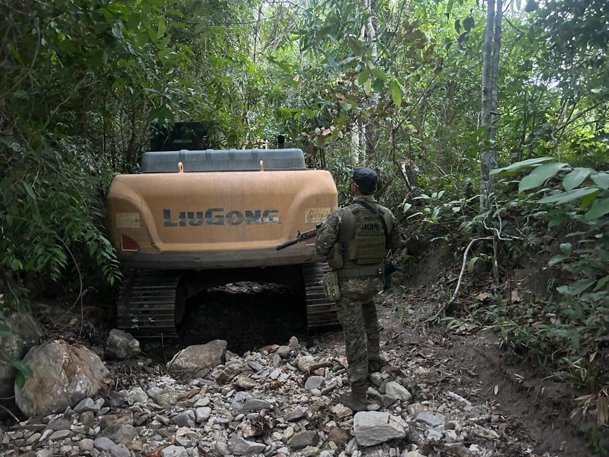 Forças de segurança de MT realizam operação para combater crimes ambientais na Terra Indígena Sararé | FTN Brasil