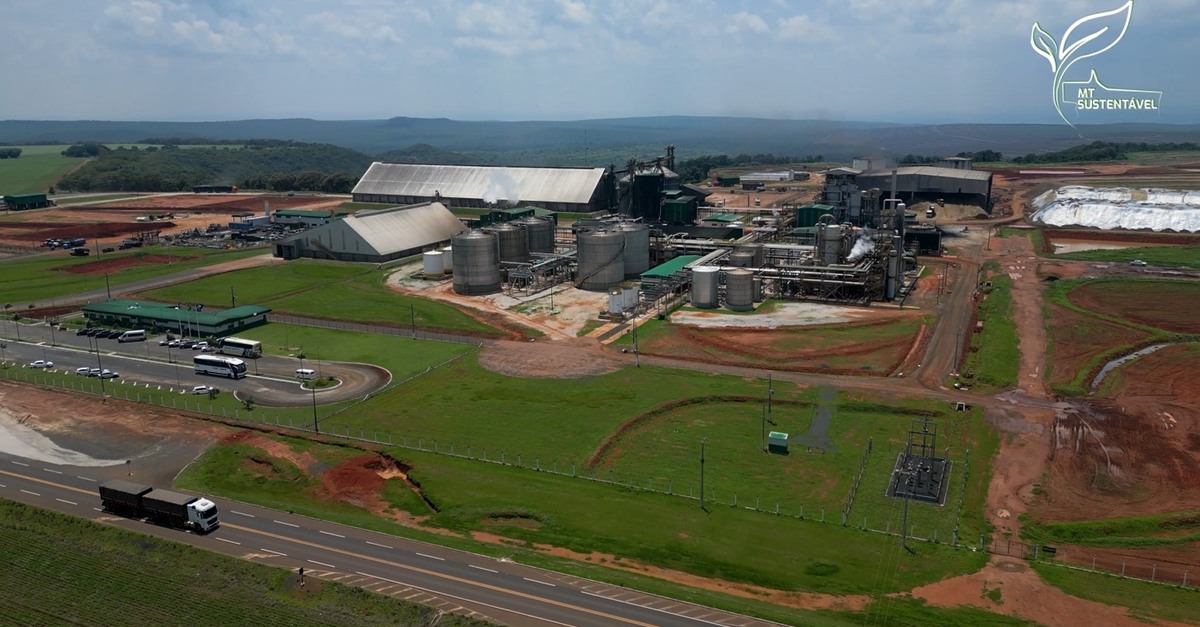 Grupo de produtores se une para agregar valor à produção agrícola em Mato Grosso