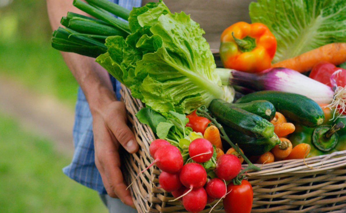 Mais Alimentos fecha 2024 com crescimento recorde e fortalece a agricultura familiar | FTN Brasil