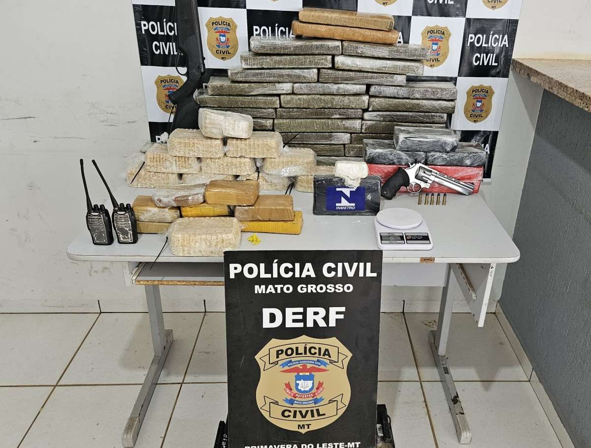 Polícia Civil apreende 50 peças de entorpecentes em Primavera do Leste | FTN Brasil