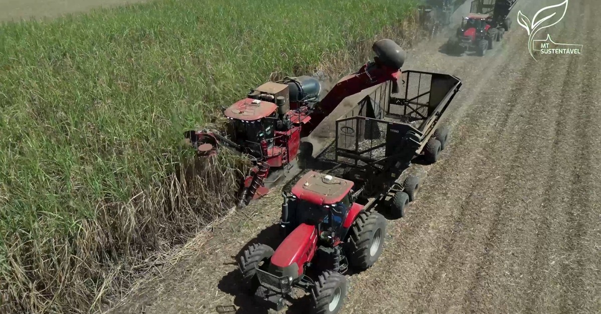 Subproduto do etanol é fonte proteica para ração animal