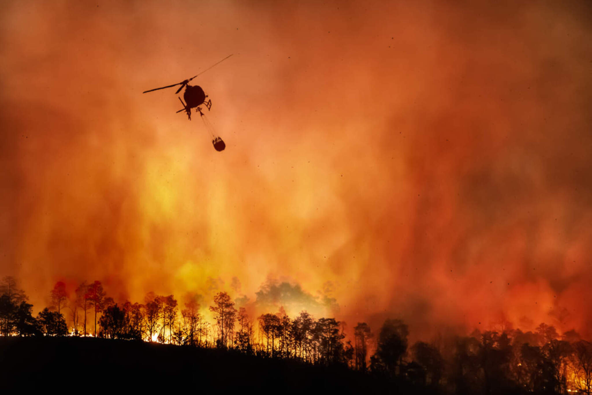 Amazônia registra o maior número de incêndios em 17 anos