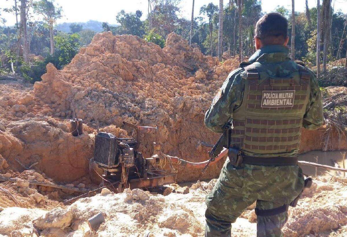 Batalhão Ambiental da PM aplicou mais de R$ 176 milhões em multas no ano de 2024 | FTN Brasil