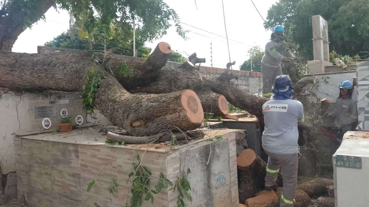 Prefeitura intensifica zeladoria e realiza mutirão de limpeza em cemitérios de Cuiabá | FTN Brasil